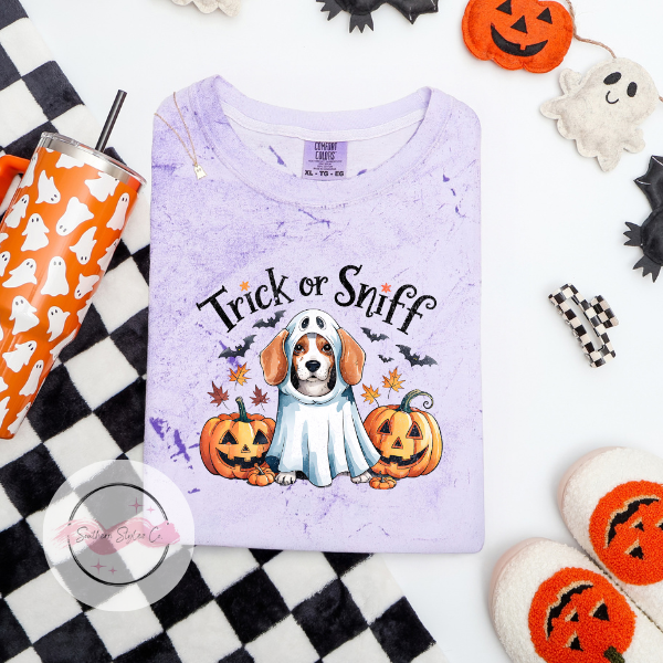 Beagle Halloween Dog Tshirt, Comfort Colors