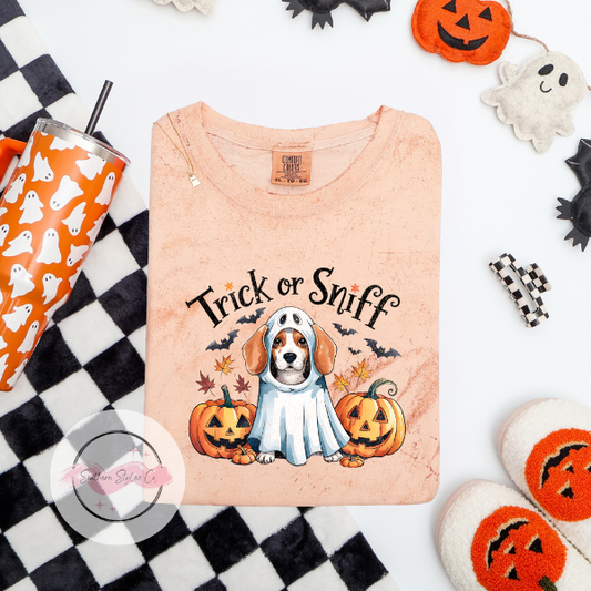 Beagle Halloween Dog Tshirt, Comfort Colors