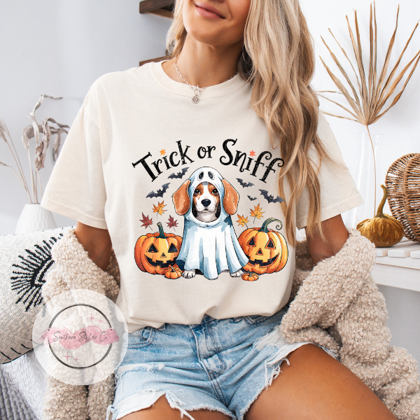 Beagle Halloween Dog Tshirt, Comfort Colors